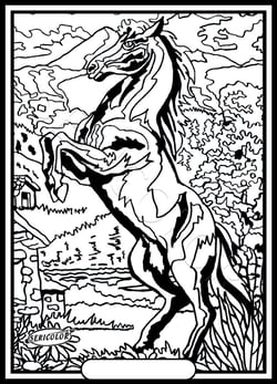 Tableau velours a colorier Le cheval cabré Sericolor