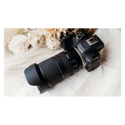 TAMRON Objectif 18-300 mm f/3.5-6.3 Di III-A VC VXD compatible avec FUJI X