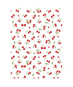 Tissu coton enduit cerise de 160 cm de largeur 0001 Blanc vendu par 50 cm