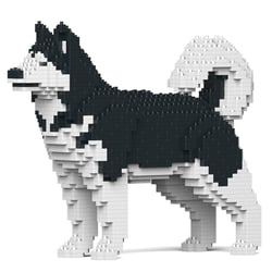 Chien Malamute de l'Alaska noir Taille standard | JEKCA | 14 ans et +