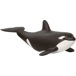 Wild Life Bébé orque