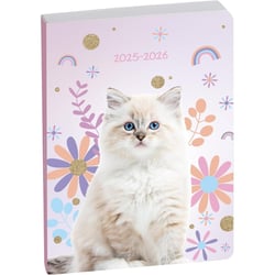 Agenda - 2025/2026 - Scolaire - Chat - 1page par jour - Septembre à septembre - Forum Animaux