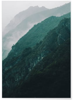 Poster Nature Brume | A3 : 29,7x42cm