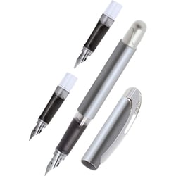 Stylo plume - Calligraphie - 3 plumes différentes - Pour droitier - Argent métal - ONLINE - College