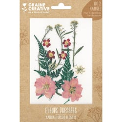 FLEURS PRESSEES PRAIRIE ROUGE - 13 PCS