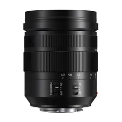 PANASONIC Objectif Leica DG Vario Elmar 12-60mm f/2.8-4 POWER OIS