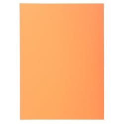 Paquet de 100 sous-chemises SUPER 60 - 22x31cm - Bulle - x 10 - Exacompta