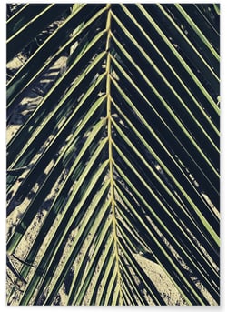 Poster nature Verte n°2 | A3 : 29,7x42cm