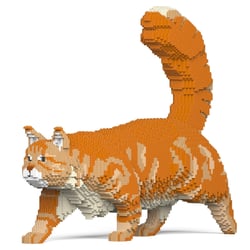 Chat Maine Coon roux | JEKCA | 14 ans et +
