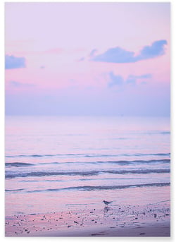 Poster Nature Ciel Rose 5 | A3 : 29,7x42cm