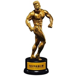 Muscle Stars piece - Figurine Nakayama Kinni-kun Risou's Appearance