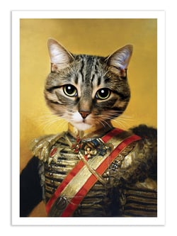 Affiche 30 x 40 cm - Ivan - Tein Lucasson