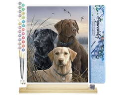 Peinture par Numéro Figured'Art - Trio de Labrador - Kit de Loisir Créatif DIY Numéro d'Art Complet - 40x50cm toile roulée + châssis en bois à monter