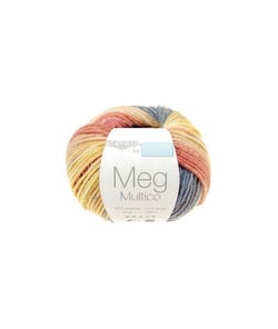 Fil à tricoter MEG Multico - Distrifil Multicolore (105)