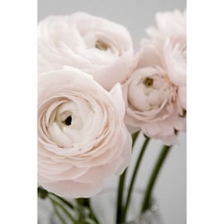 Tableau sur toile bouquet rose 30x45 cm
