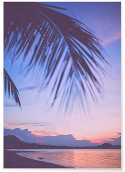 Poster Nature Tropicale 6 | A3 : 29,7x42cm