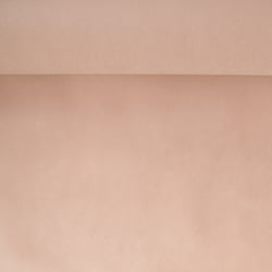 Tissu Fiesta Non tissé déperlant uni Beige