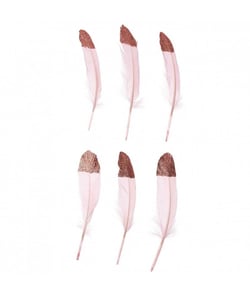 Grandes Plumes Fantaisies 18 cm X 6 pièces - Rico Design Roseor Rose
