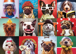 Puzzle 1000 pièces - Funny Dogs - Eurographics