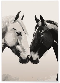 Affiche Chevaux tendres museaux | A3 : 29,7x42cm