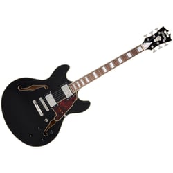 Premier DC Solid Black D'Angelico