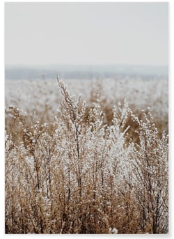 Poster Nature Winter 2 | A3 : 29,7x42cm