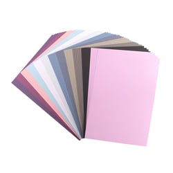 Papier cartonné A4 - 216 g - 12 couleurs assorties - Lisse - Florence - 60 feuilles