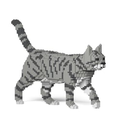 Chat Tigré gris clair | JEKCA | 14 ans et +