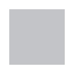 Lot de 2 sprays de peinture - galet mat - AMT