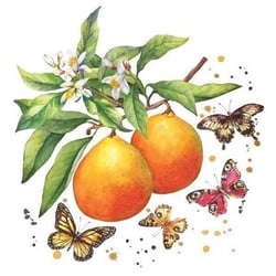 Lot de 4 serviettes en papier découpage collage 33 cm FRUIT PAPILLON