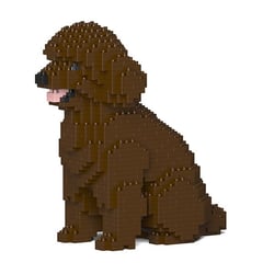 Chien Caniche Nain assis marron Taille standard | JEKCA | 14 ans et +
