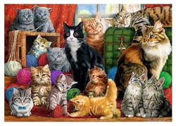 Puzzle 1000 pièces - Cats Meeting - Trefl