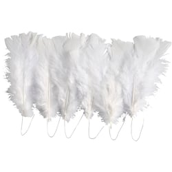 Plumes, dim. 11-17 cm, blanc, 18 boule/ 1 Pq.