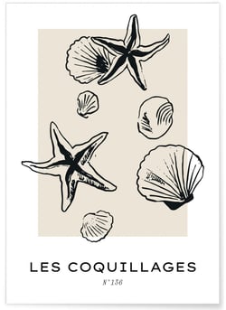 Affiche Les coquillages | A3 : 29,7x42cm