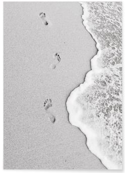 Affiche Nature Plage noir et blanc | A3 : 29,7x42cm