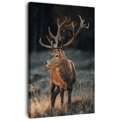 Tableau sur toile cerf sauvage 30x45 cm