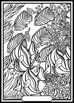 Tableau velours a colorier POISSONS EXOTIQUES Sericolor