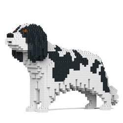 Chien Cavalier King Charles Spaniel taches noires Taille standard | JEKCA | 14 ans et +