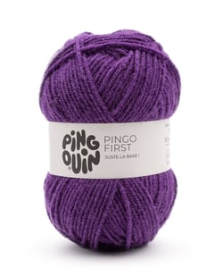 Pingo First