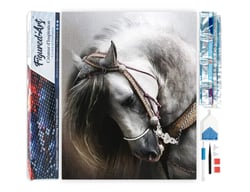 Diamond Painting Broderie Diamant Figured’Art 40x50cm toile entière roulée avec diamants carrés - Cheval gris élégant