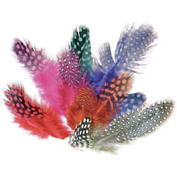 Graine Créative - Plumes pintades colorées 12,5cm