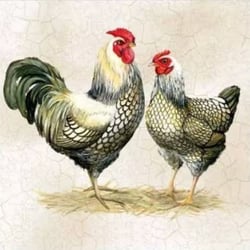 4 serviettes en papier découpage collage 33 cm COUPE COQ POULE ASS 208