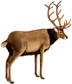 Hansa Peluche Geante Cerf 150 cm H et 140 cm L - Hansa Peluches Géantes - Marron