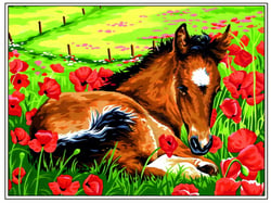 Canevas Pénélope Antique Le poulain 40X50cm