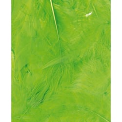 Artemio - Plumes Ébouriffées Vert Sachet de 3 g Lg 8 à 12 cm