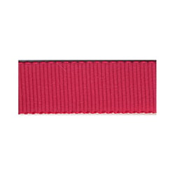 Disquette 16m Gros Grain Petersham FUCHSIA