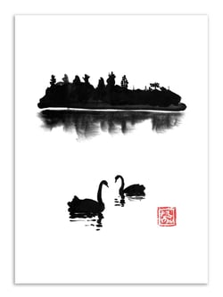 Affiche 30 x 40 cm - Swan Island - Pechane Sumie