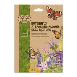 Mélange de fleurs pour attirer les Papillons