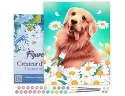Peinture par Numéro Figured'Art avec Cadre - Golden Retriever - Kit de Loisir Créatif DIY Numéro d'Art Complet - 40x50cm toile tendue sur châssis