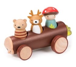 Taxi Des Animaux De La Forêt